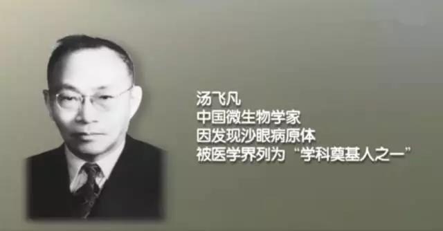 “疫”海拾珍：中国的“疫苗之王”让沙眼不再是世界难题