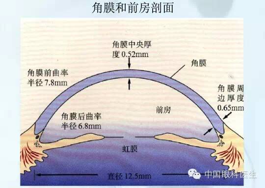 小梁网位置图图片